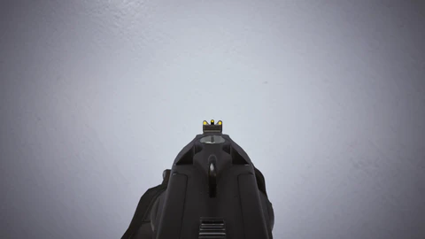 Cerberus 12GA